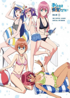 We Never Learn OVAs