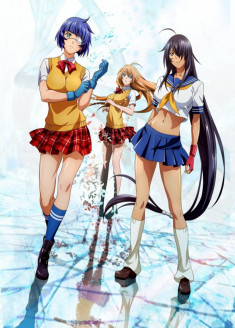 Ikki Tousen: Western Wolves