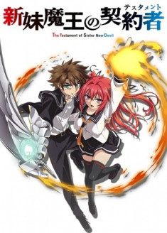 The Testament of Sister New Devil Loli Ero Succubus Maria no Characommentary Tsuki Hizou Eizou