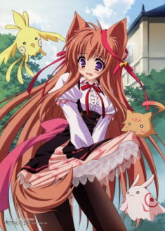 Tayutayu: Pure my heart